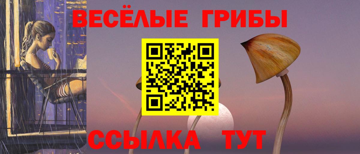 Трёхгорный  как найти   Вход с VPN  Галлюциногенные грибы мухоморы 